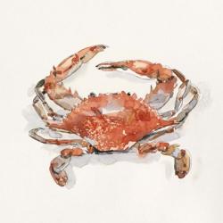 Crusty Crab II | Obraz na stenu