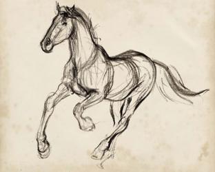 Gestural Apaloosa I | Obraz na stenu