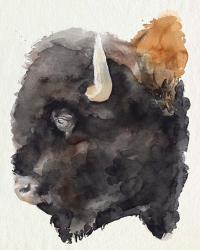 Watercolor Bison Profile II | Obraz na stenu