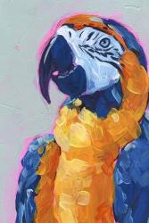 Pop Art Parrot I | Obraz na stenu