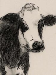 Cow Portrait Sketch I | Obraz na stenu