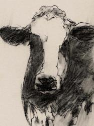 Cow Portrait Sketch II | Obraz na stenu