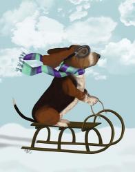 Basset Hound, Sledging | Obraz na stenu