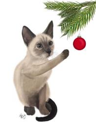 Siamese Cat and Bauble | Obraz na stenu