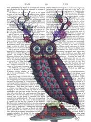 Owl with Psychedelic Antlers | Obraz na stenu