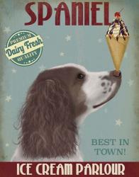 Springer Spaniel, Brown and White, Ice Cream | Obraz na stenu