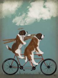 St Bernard Tandem | Obraz na stenu