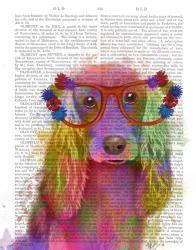 Rainbow Splash Cocker Spaniel, Portrait | Obraz na stenu