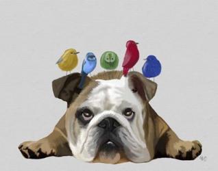 English Bulldog and Birds | Obraz na stenu