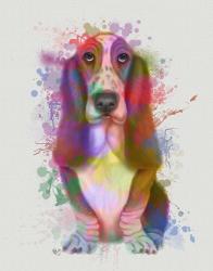 Basset Hound Rainbow Splash | Obraz na stenu