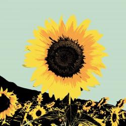 Pop Art Sunflower I | Obraz na stenu