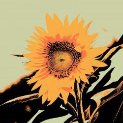 Pop Art Sunflower II | Obraz na stenu