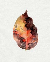 Watercolor Autumn Leaf I | Obraz na stenu