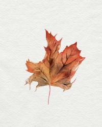 Watercolor Autumn Leaf II | Obraz na stenu