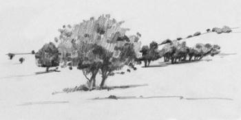 Treeline Sketch I | Obraz na stenu