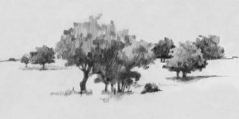 Treeline Sketch II | Obraz na stenu