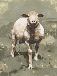 Spring Sheep II | Obraz na stenu