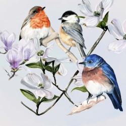 Four Little Birds I | Obraz na stenu