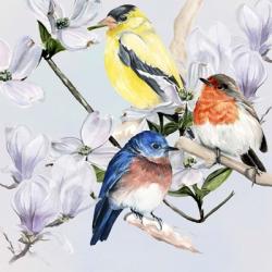 Four Little Birds II | Obraz na stenu