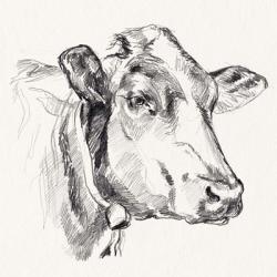 Holstein Portrait Sketch I | Obraz na stenu