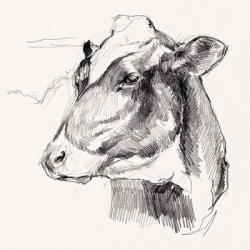 Holstein Portrait Sketch II | Obraz na stenu