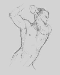 Male Torso Sketch I | Obraz na stenu