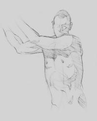 Male Torso Sketch III | Obraz na stenu