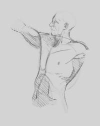 Male Torso Sketch IV | Obraz na stenu