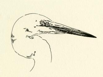 Heron Head I | Obraz na stenu