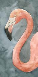 Flamingo Study II | Obraz na stenu