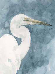 Watercolor Heron Portrait II | Obraz na stenu