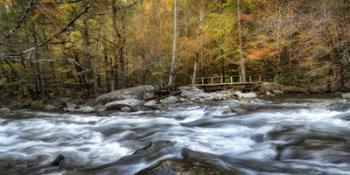 The Foot Bridge | Obraz na stenu