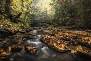 Stone Bridge | Obraz na stenu