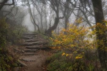 Stone Steps | Obraz na stenu