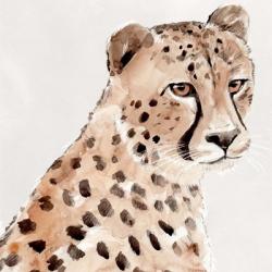 Saharan Cheetah II | Obraz na stenu