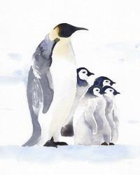 Emperor Penguins I | Obraz na stenu