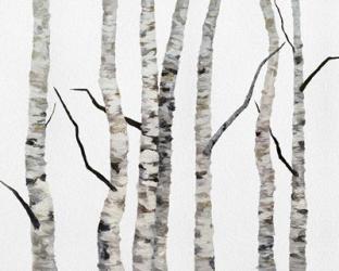 Birch Trees II | Obraz na stenu