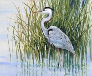 Heron in the Marsh II | Obraz na stenu