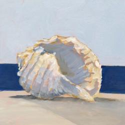 Shell By the Shore II | Obraz na stenu