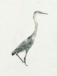 Saltwater Herons I | Obraz na stenu