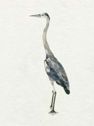 Saltwater Herons II | Obraz na stenu