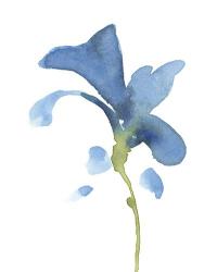 Striking Blue Iris V | Obraz na stenu