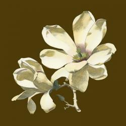 Magnolia on Taupe I | Obraz na stenu