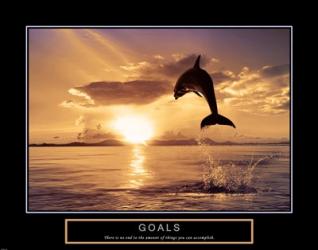 Goals - Dolphins | Obraz na stenu