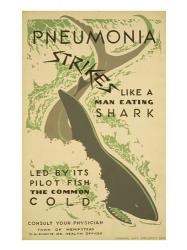 Pneumonia strikes like a man eating shark led by its pilot fish the common cold Consult your physician | Obraz na stenu