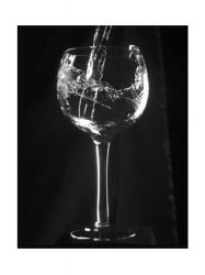 Wine Glass | Obraz na stenu