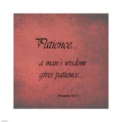 Patience Proverbs 19:11 | Obraz na stenu