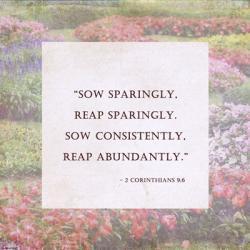 Sow Sparingly | Obraz na stenu