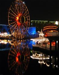 Paradise Pier At Night | Obraz na stenu