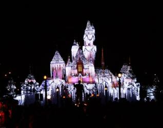 Sleeping Beauty's Castle | Obraz na stenu